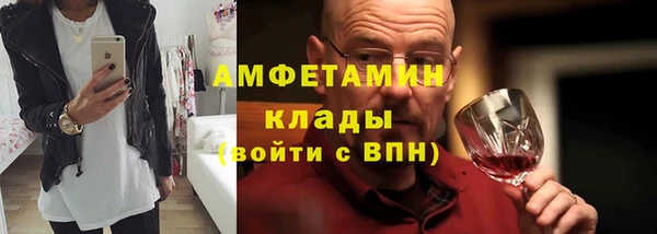 хмурый Аркадак