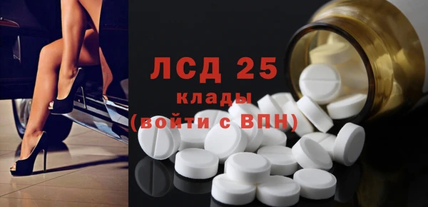 хмурый Аркадак