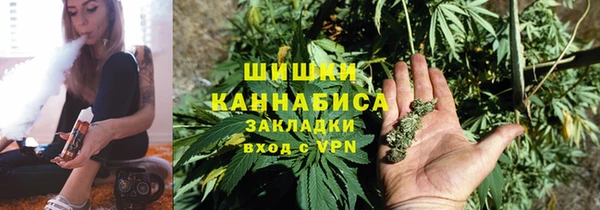 хмурый Аркадак