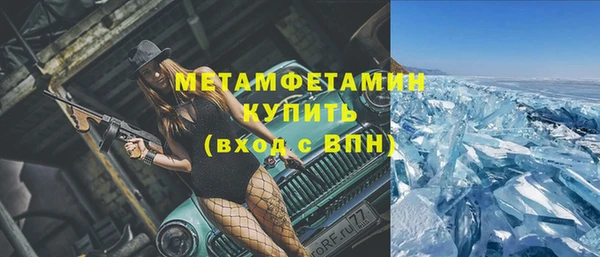 хмурый Аркадак