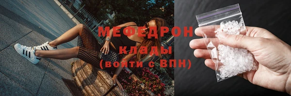 хмурый Аркадак